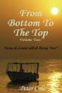 From Bottom To The Top Volume Two - Preview