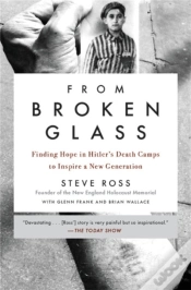Capa do artigo From Broken Glass