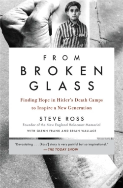 Capa do artigo From Broken Glass