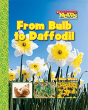 From Bulb To Daffodil - Preview