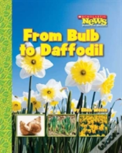 Capa do artigo From Bulb To Daffodil
