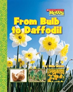 Capa do artigo From Bulb To Daffodil