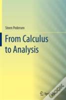From Calculus To Analysis
