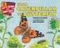 From Caterpillar To Butterfly - Preview