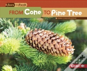 Capa do artigo From Cone To Pine Tree