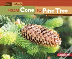 Capa do artigo From Cone To Pine Tree