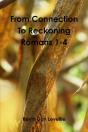 From Connection To Reckoning Romans 1-4 - Preview