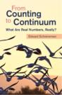 From Counting To Continuum - Preview