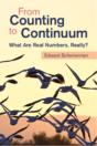 From Counting To Continuum - Preview