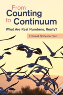 Capa do artigo From Counting To Continuum