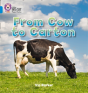 From Cow To Carton - Preview