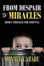 From Despair To Miracles - Preview