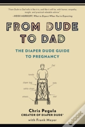 Capa do artigo From Dude To Dad