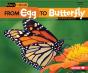 From Egg To Butterfly - Preview