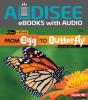 From Egg To Butterfly - Preview