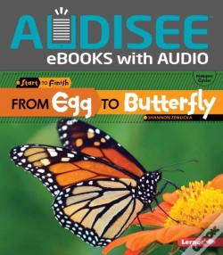 Capa do artigo From Egg To Butterfly