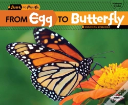 Capa do artigo From Egg To Butterfly