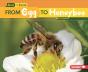 From Egg To Honeybee - Preview
