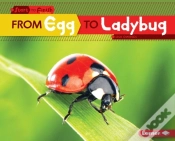 Capa do artigo From Egg To Ladybug