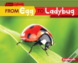 Capa do artigo From Egg To Ladybug