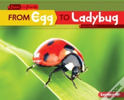 Capa do artigo From Egg To Ladybug