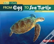 Capa do artigo From Egg To Sea Turtle