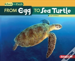 Capa do artigo From Egg To Sea Turtle