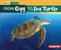 From Egg To Sea Turtle - Preview