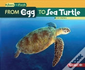Capa do artigo From Egg To Sea Turtle