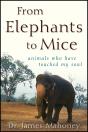 From Elephants To Mice - Preview
