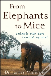 Capa do artigo From Elephants To Mice
