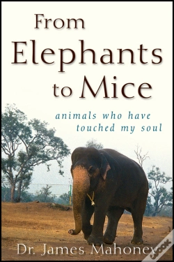 Capa do artigo From Elephants To Mice