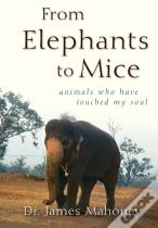 From Elephants To Mice