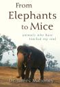From Elephants To Mice - Preview