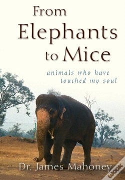 Capa do artigo From Elephants To Mice