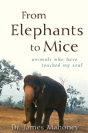 From Elephants To Mice - Preview