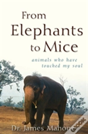 Capa do artigo From Elephants To Mice