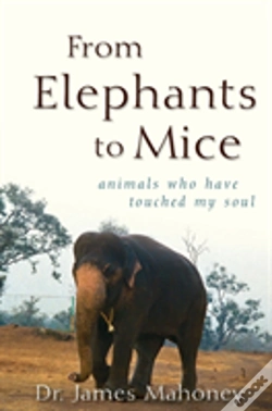 Capa do artigo From Elephants To Mice