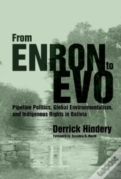 Capa do artigo From Enron To Evo