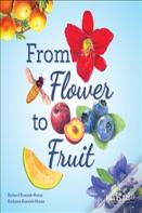 From Flower To Fruit