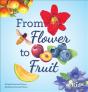 From Flower To Fruit - Preview