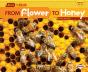 From Flower To Honey - Preview