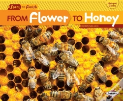 Capa do artigo From Flower To Honey