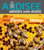 Capa do artigo From Flower To Honey