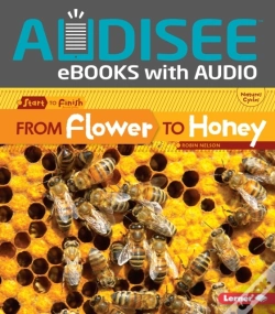 Capa do artigo From Flower To Honey