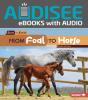 From Foal To Horse - Preview