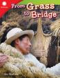 From Grass To Bridge - Preview