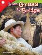 From Grass To Bridge - Preview