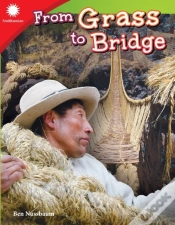 Capa do artigo From Grass To Bridge