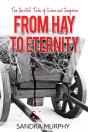 From Hay To Eternity - Preview